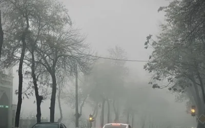 7c5c0623d2_untitled-design-2026-01-04t153148_968.webp.webp - StiriAlese