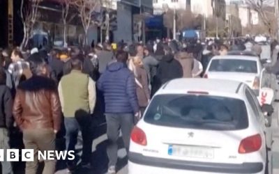 96fb1a40-e7de-11f0-b67b-690eb873de1b.jpg - StiriAlese