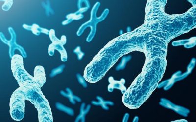 9f2a2e04a053cda7a8c096e532e43d28.jpeg - StiriAlese