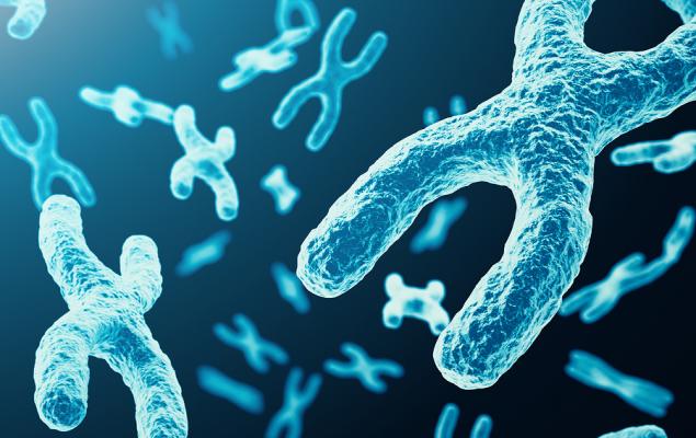 9f2a2e04a053cda7a8c096e532e43d28.jpeg - StiriAlese