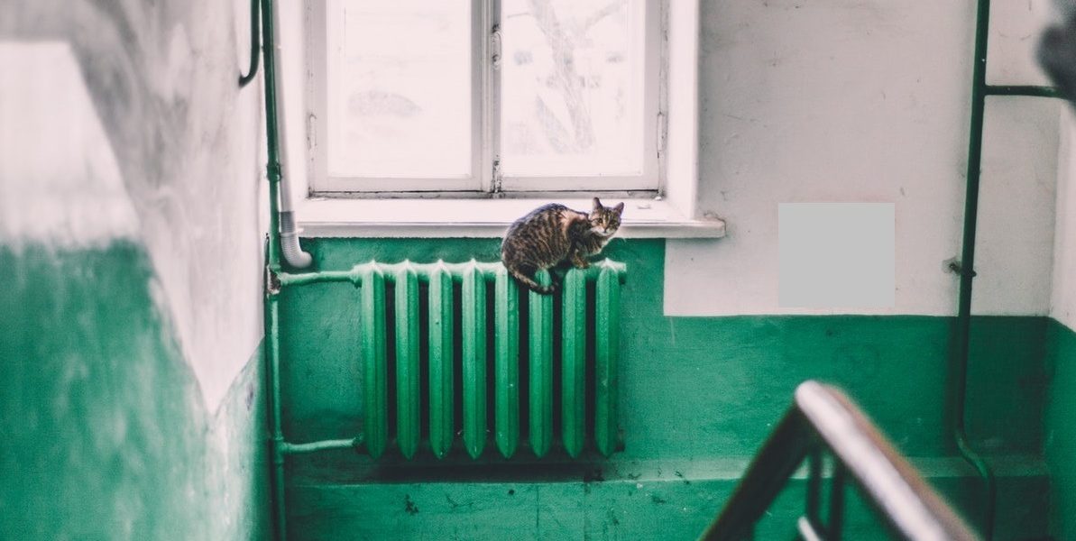 Calorifer-pexels-maria-orlova-4946714.jpg - StiriAlese