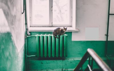 Calorifer-pexels-maria-orlova-4946714.jpg - StiriAlese