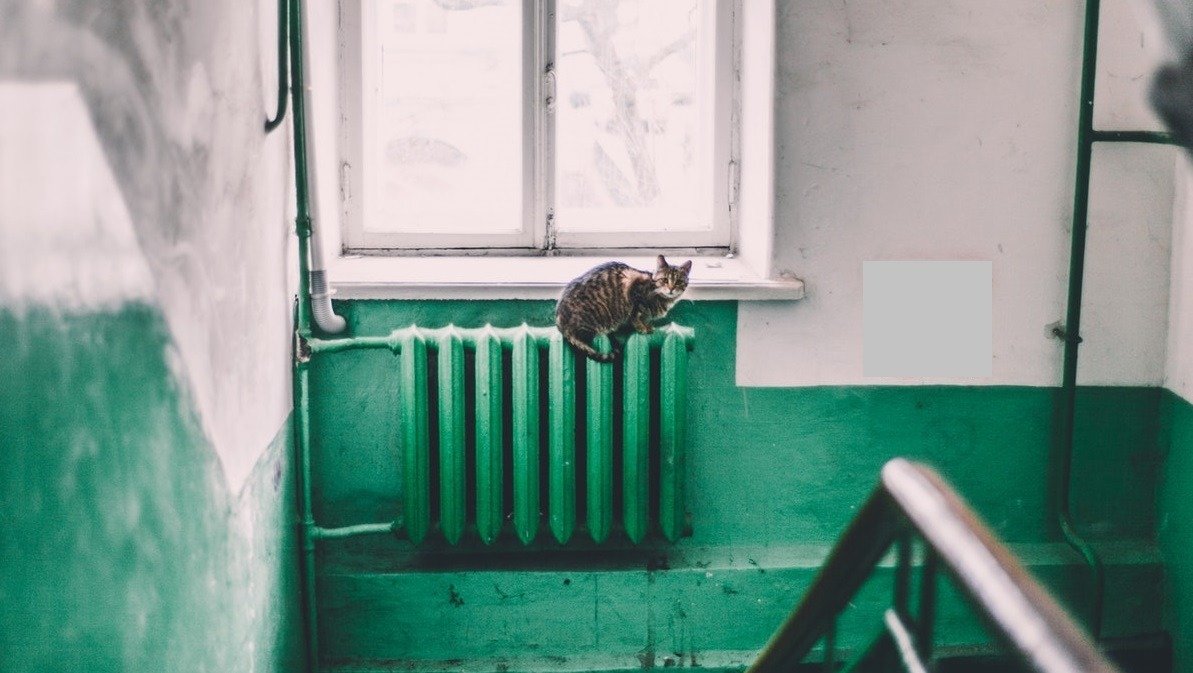 Primarul din Oradea, Florin Birta, a reacționat vehement la criticile aduse de colega sa din Craiova, Lia Olguța Vasilescu, în contextul recentei polemici legate de gestionarea energiei și condițiile termice ale orașelor