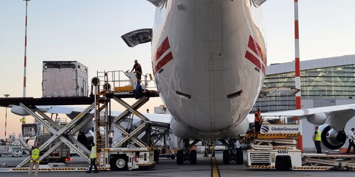 Captura-de-ecran-2026-01-31-061618.jpg - StiriAlese