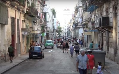 Captura-de-ecran-din-2023-11-05-la-08.55.38-e1699167376359.jpg - StiriAlese