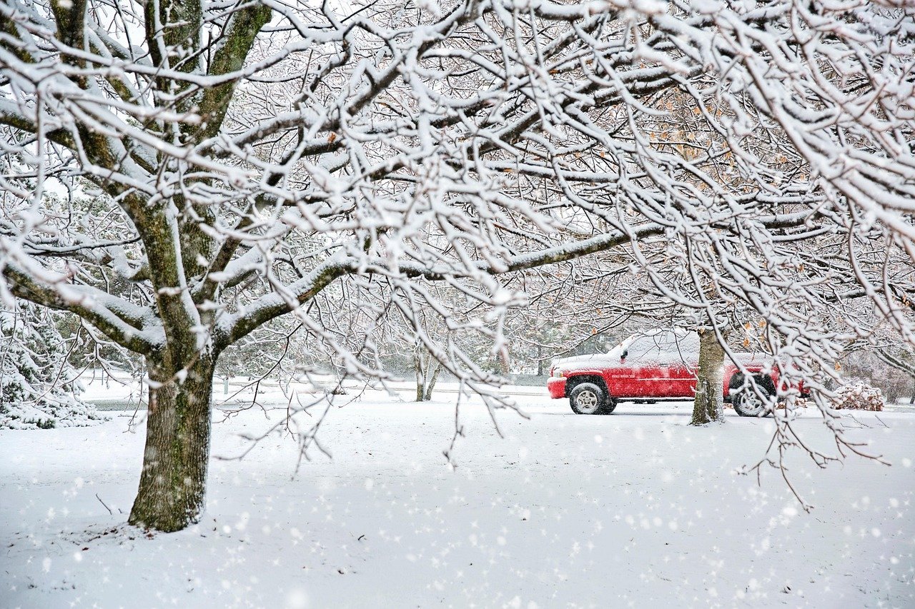 Vremea în București până pe 21 ianuarie: prognoza pe zile