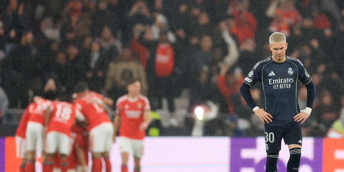 DFXVYFA5Z5ONBMWWZWVZEFYZRQ.jpg - StiriAlese