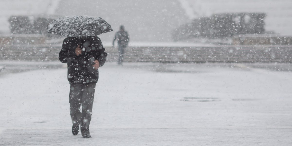 FB1A0210.jpg - StiriAlese