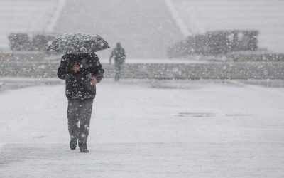 FB1A0210.jpg - StiriAlese