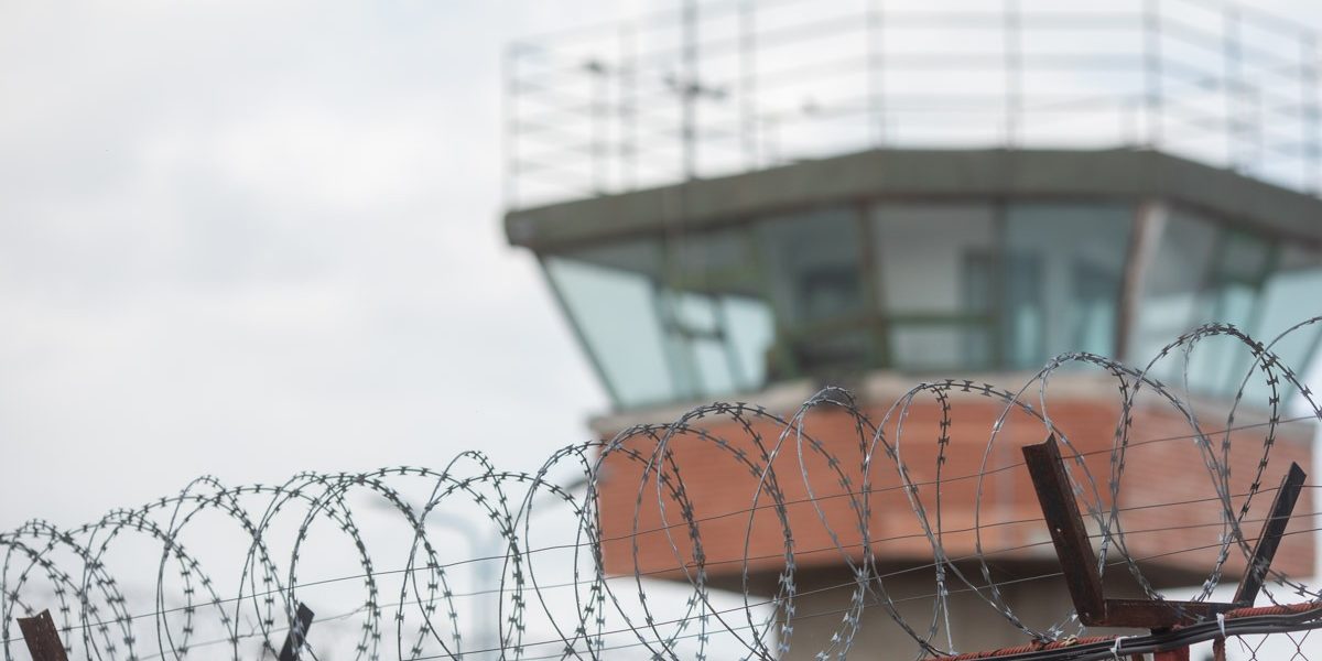 FB1A1091.jpg - StiriAlese