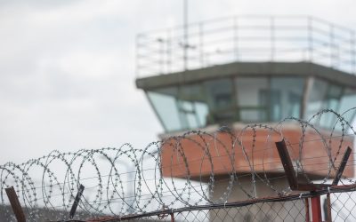 FB1A1091.jpg - StiriAlese