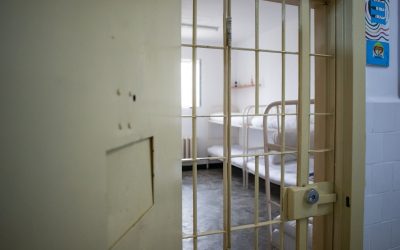 FB1A1137.jpg - StiriAlese