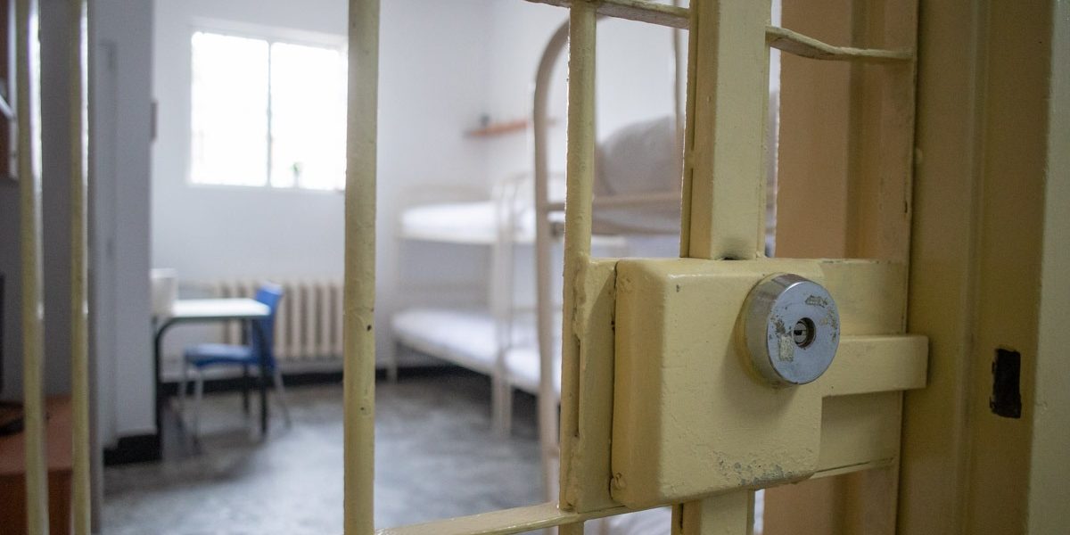 FB1A1141.jpg - StiriAlese