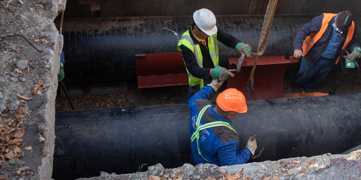 FB1A2146.jpg - StiriAlese