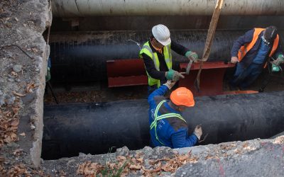 FB1A2146.jpg - StiriAlese