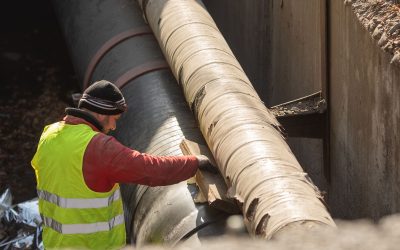 FB1A2184.jpg - StiriAlese