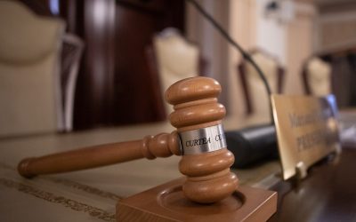 FB1A6837.jpg - StiriAlese