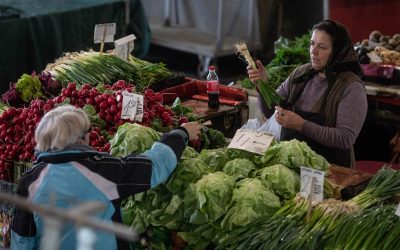 FB1A8652.jpg - StiriAlese