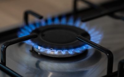 FB1A8915.jpg - StiriAlese