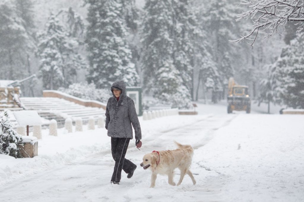 România se confruntă, cel puțin pentru moment, cu o iarnă capricioasă, dominată de temperaturi scăzute care par să pune stăpânire pe întreg teritoriul național