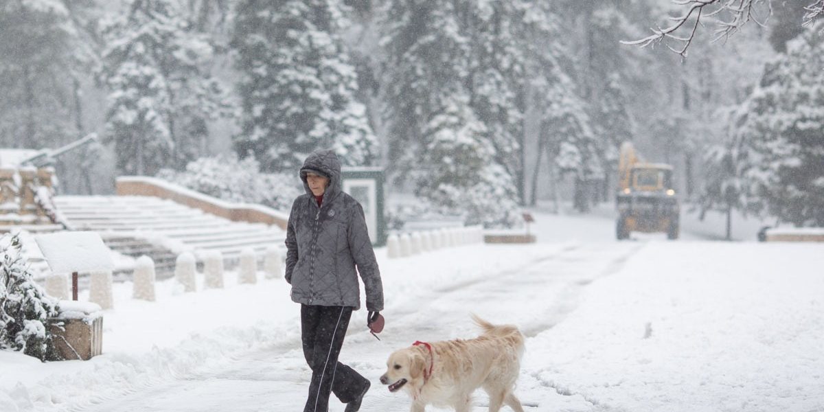 FB1A9678.jpg - StiriAlese