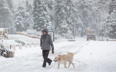 FB1A9678.jpg - StiriAlese