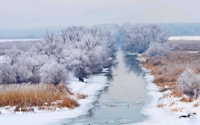 FB_IMG_1611662868008-01-min.jpeg - StiriAlese