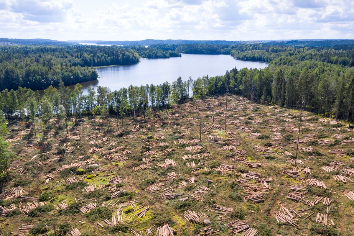 Acordul comercial UE-Mercosur, contestat din interiorul Europei Acordul comercial dintre Uniunea Europeană și blocul sud-american Mercosur (format din Argentina, Brazilia, Paraguay și Uruguay) semnat pe 17 ianuarie de președintele Comisiei Europene, Ursula von der Leyen, în Paraguay, este deja subiect de dispute intense în Parlamentul European