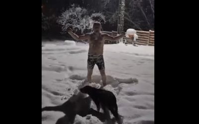 Heius-in-Zapada-3.jpg - StiriAlese