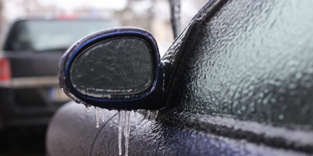 ID104102_INQUAM_Photos_George_Calin.jpg - StiriAlese