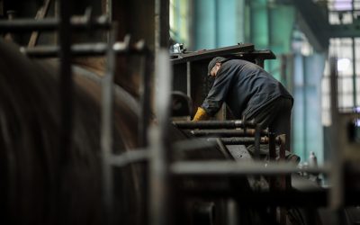 ID120826_INQUAM_Photos_George_Calin.jpg - StiriAlese