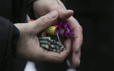 ID129394_INQUAM_Photos_Octav_Ganea.jpg - StiriAlese