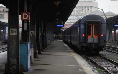 ID186355_INQUAM_Photos_George_Calin-1600x1067-1.jpg - StiriAlese