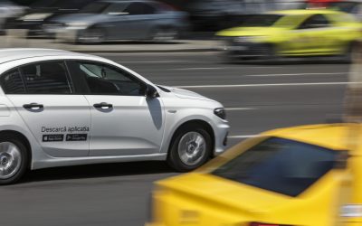 ID198796_INQUAM_Photos_Octav_Ganea-scaled.jpg - StiriAlese