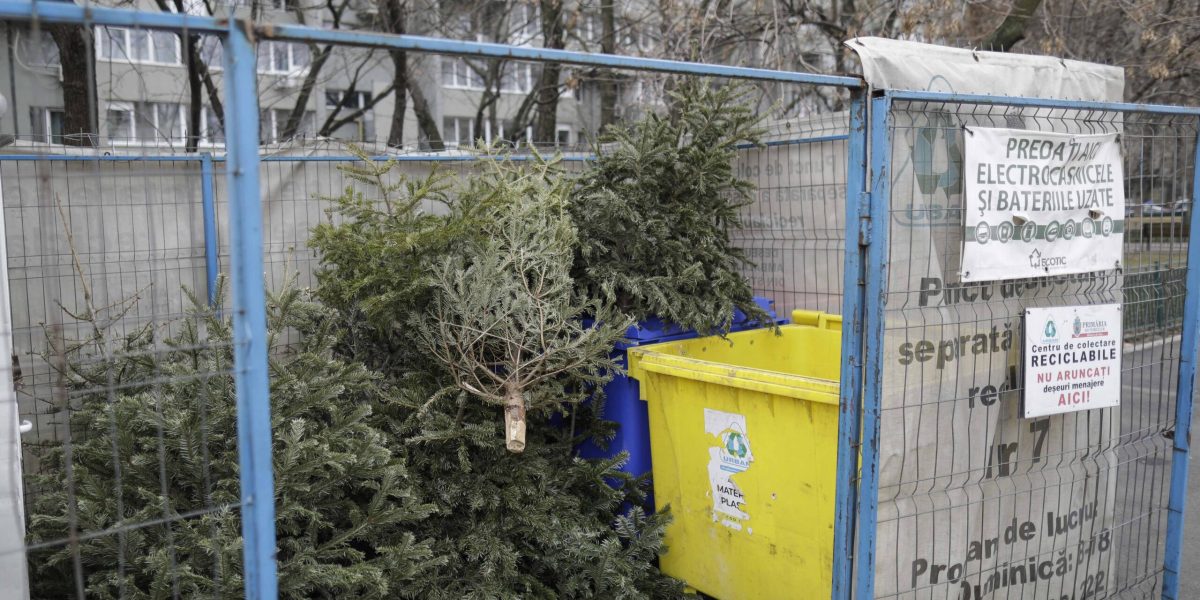 ID211408_INQUAM_Photos_Octav_Ganea-scaled.jpg - StiriAlese