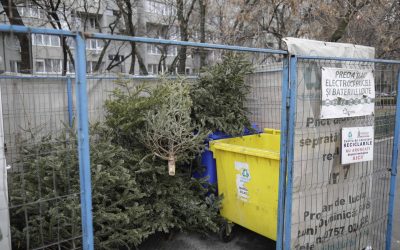 ID211408_INQUAM_Photos_Octav_Ganea-scaled.jpg - StiriAlese