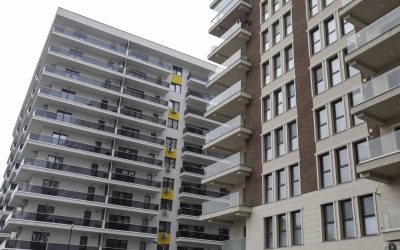 ID211416_INQUAM_Photos_Octav_Ganea-scaled.jpg - StiriAlese