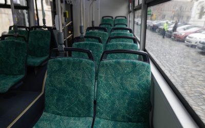 ID240959_INQUAM_Photos_George_Calin-scaled.jpg - StiriAlese