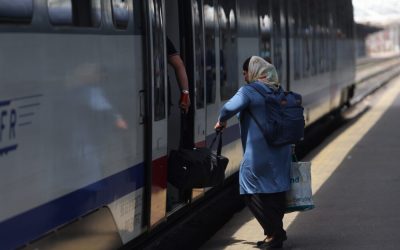 ID264255_INQUAM_Photos_George_Calin-1000x667.jpg - StiriAlese