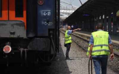 ID264258_INQUAM_Photos_George_Calin-scaled.jpg - StiriAlese