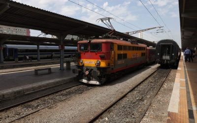 ID264263_INQUAM_Photos_George_Calin-1000x667.jpg - StiriAlese