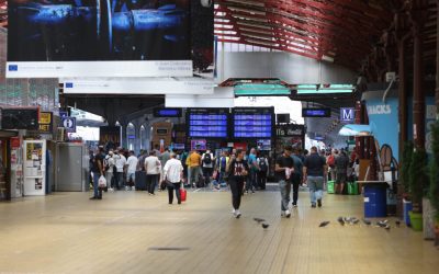 ID264270_INQUAM_Photos_George_Calin-1000x667.jpg - StiriAlese