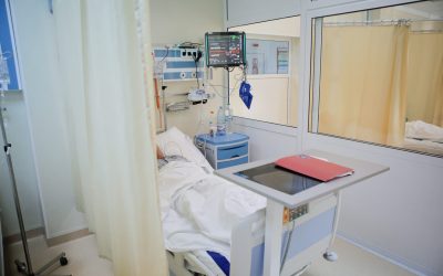 ID30977_INQUAM_Photos_George_Calin-scaled.jpg - StiriAlese