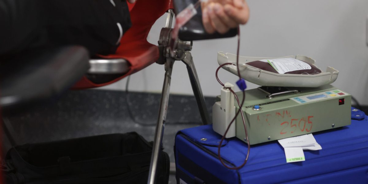 ID318910_INQUAM_Photos_George_Calin-1600x1067-1.jpg - StiriAlese