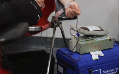 ID318910_INQUAM_Photos_George_Calin-1600x1067-1.jpg - StiriAlese