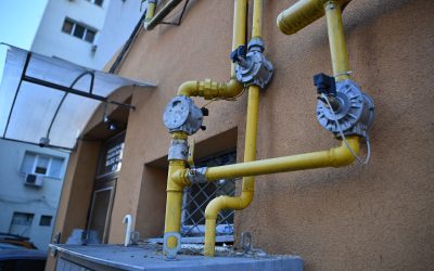 ID322394_INQUAM_Photos_Alex-Nicodim_-1600x1067-1-1.jpg - StiriAlese