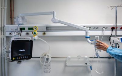 ID324935_INQUAM_Photos_Alexandru_Nechez-scaled.jpg - StiriAlese