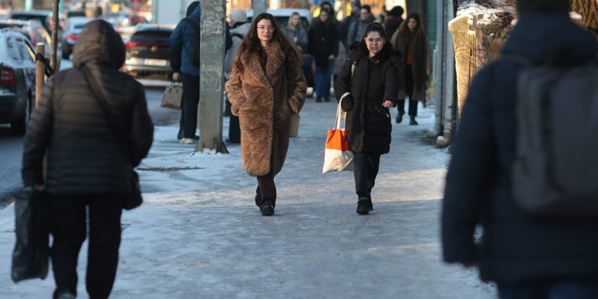 ID330504_INQUAM_Photos_George_Calin-scaled.jpg - StiriAlese