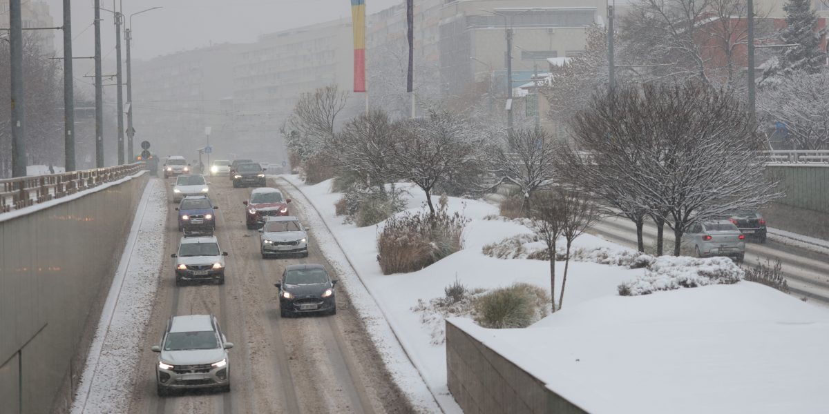 ID330595_INQUAM_Photos_George_Calin_f23c82.jpg - StiriAlese