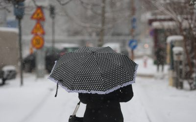 ID330607_INQUAM_Photos_George_Calin-1.jpg - StiriAlese